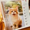 ✩2月23日の買取価格と、猫の日✩